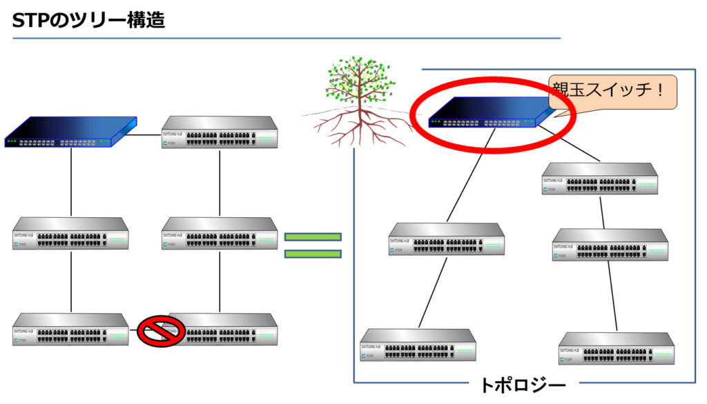 STPのツリー構造